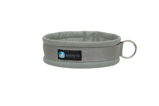 annyx Steckhalsband Fun grau/silber